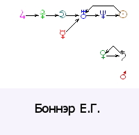 bonner