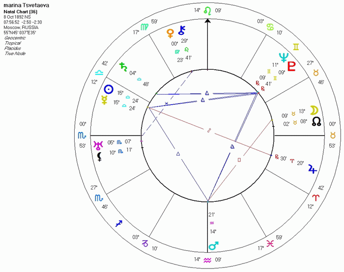libra_04